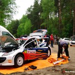 Testy Hołka 2010